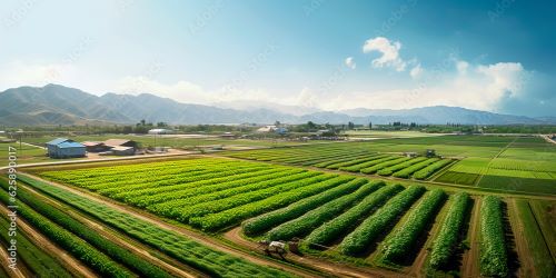 Corn, Soybean, and Tobacco