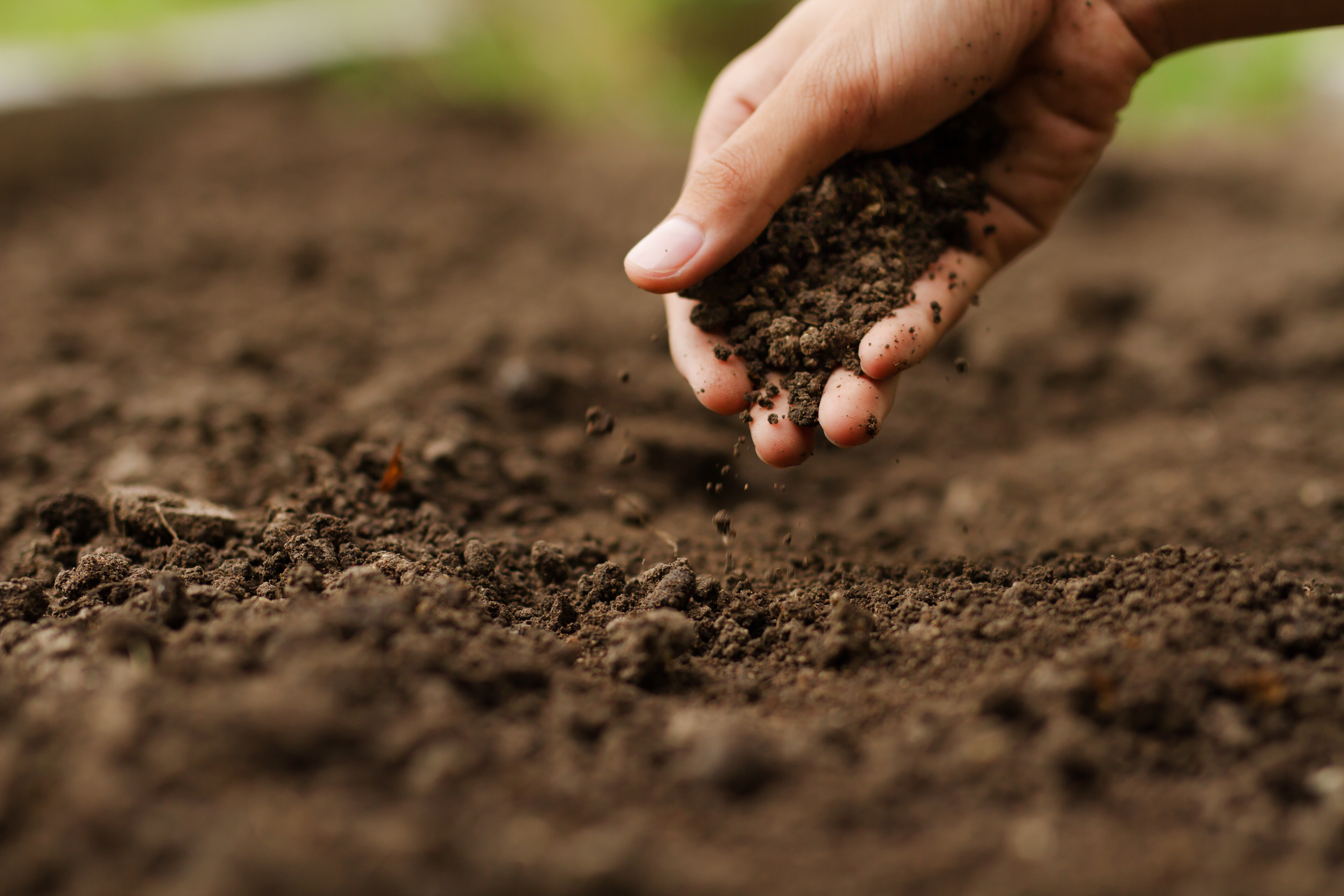 Dirt and a hand picking it up