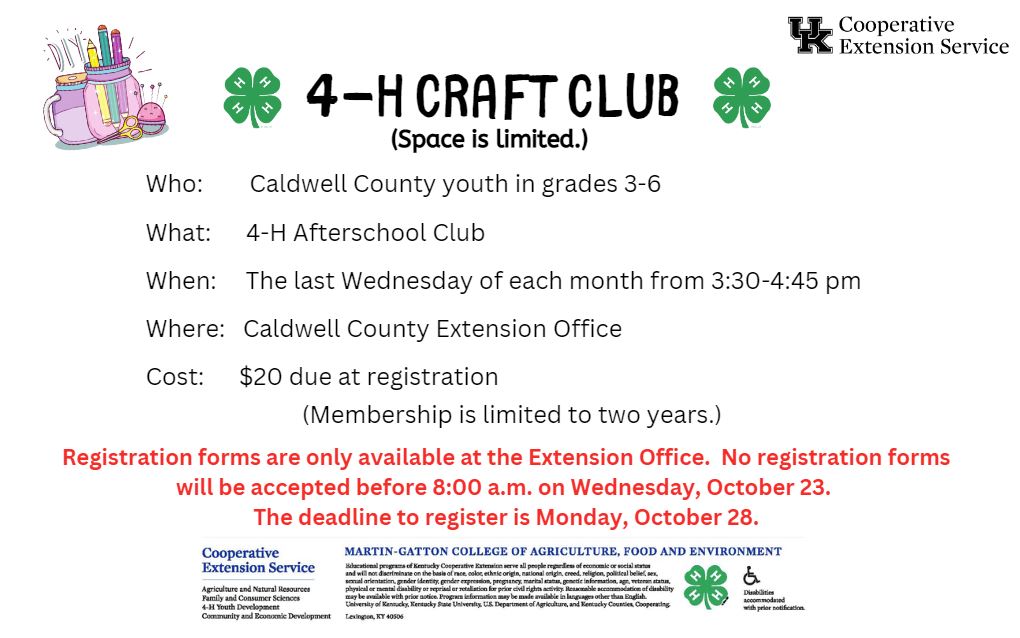 4-H Craft Club Info