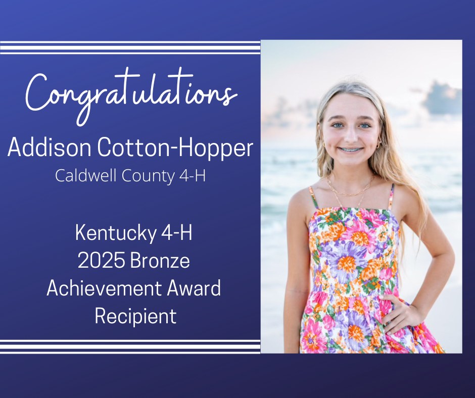 Addison wins Bronze Award