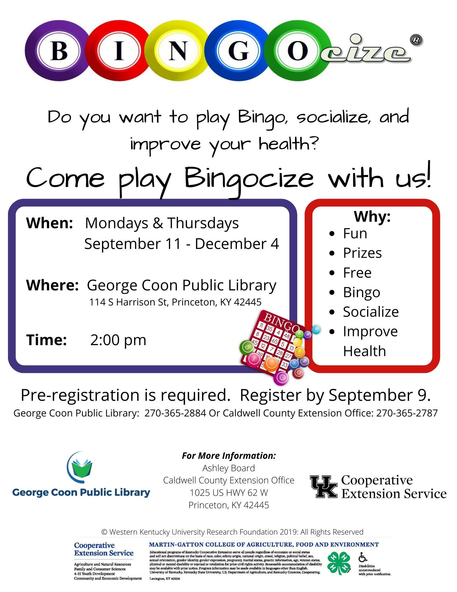 Bingocize Flyer