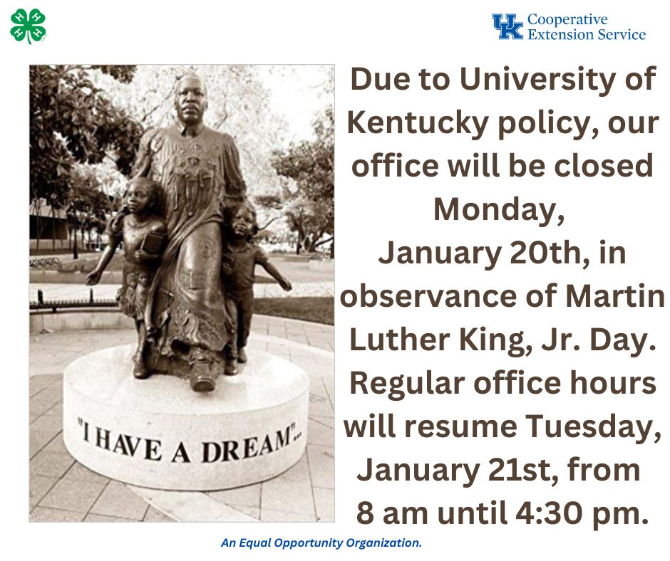 Martin Luther King Jr Closed