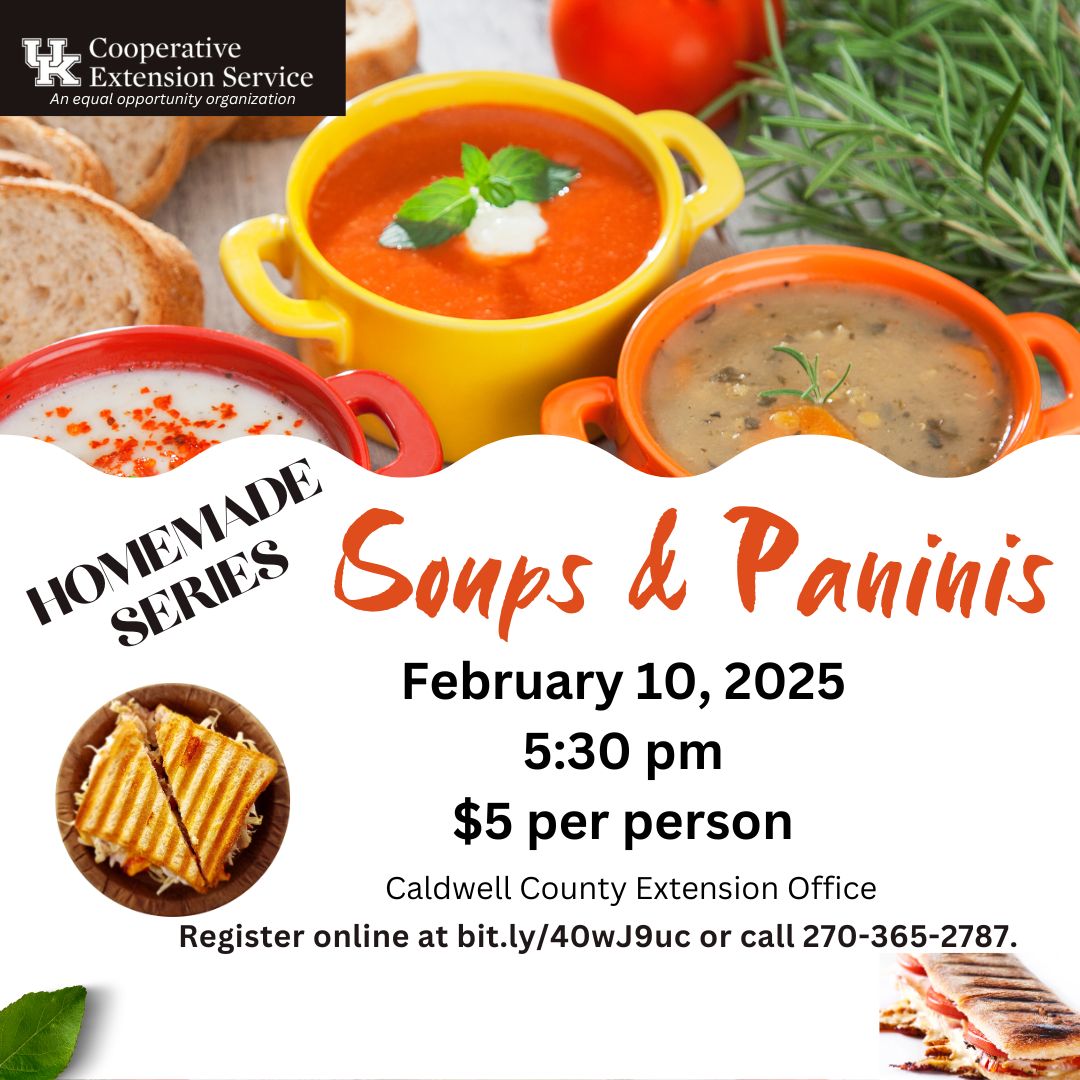 Soup & Paninis Series Flyer