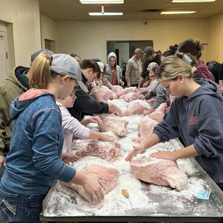  Country Ham Project 1st Salting