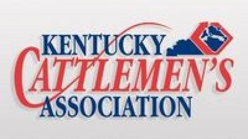 Kentucky Cattlemen's Association Logo