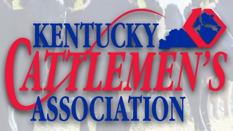 Kentucky Cattlemen's Logo